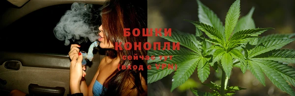 прущие крисы Михайловка