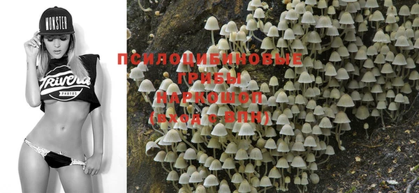 прущие крисы Михайловка