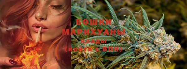 прущие крисы Михайловка
