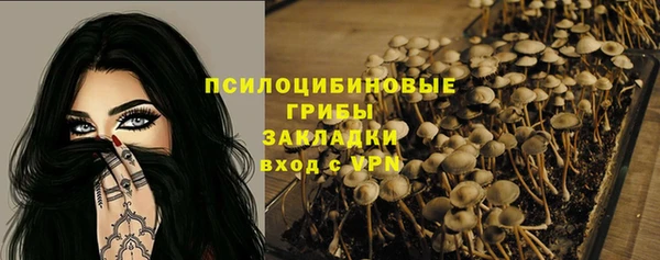 ешки Михайлов