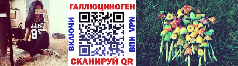 Купить где  Горячеводский  Галлюциногенные грибы мицелий 